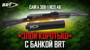 Сайга 308 исполнение 46 + ДТК BRT