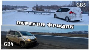 Перегон Фрид за Фридом