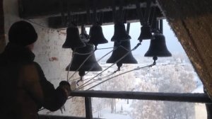 Звонарь
