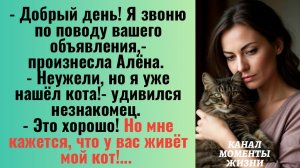 Истории из жизни/Мне кажется, что у вас живёт мой кот- заявила женщина/Аудиорассказы/Жизненные