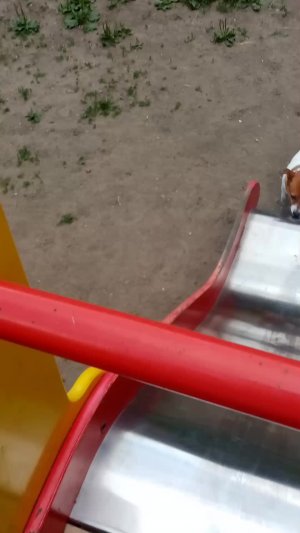 Гуляем с джекой
Д