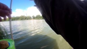 Херабуна на противополжном берегу озера и там карась клюет.