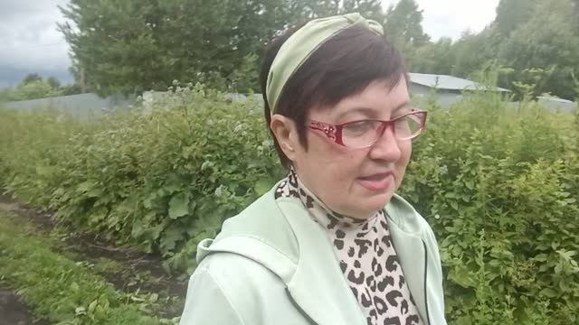 С утра такие Новости‼️‼️‼️ Ответ на комментарии смотреть онлайн