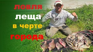 ловля леща в черте города