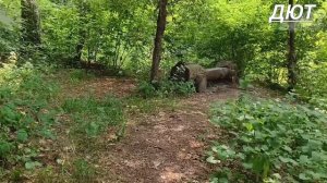 Солотча.Рязань.