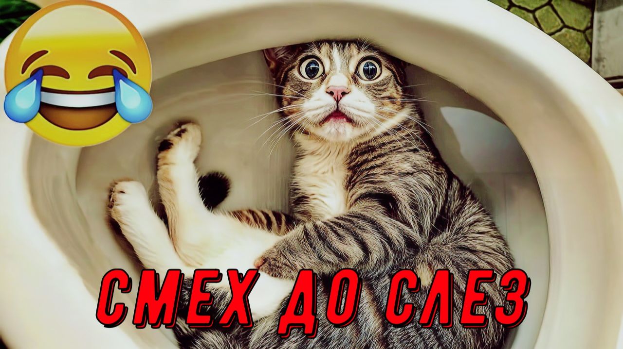 Приколы, 🤣 ТОП ПРИКОЛОВ 2026 Я РЖАЛ ДО СЛЕЗ! 😂 ОТБОРНЫЙ УГАР! СМЕШНЫЕ ВИДЕО 🚀 #13