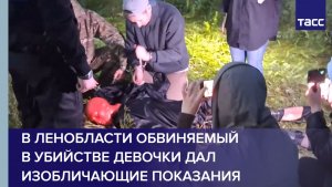 В Ленобласти обвиняемый в убийстве девочки дал изобличающие показания