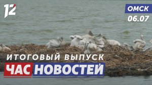 Пеликаны / Рейд по диким пляжам / Новички Авангарда. Новости Омска