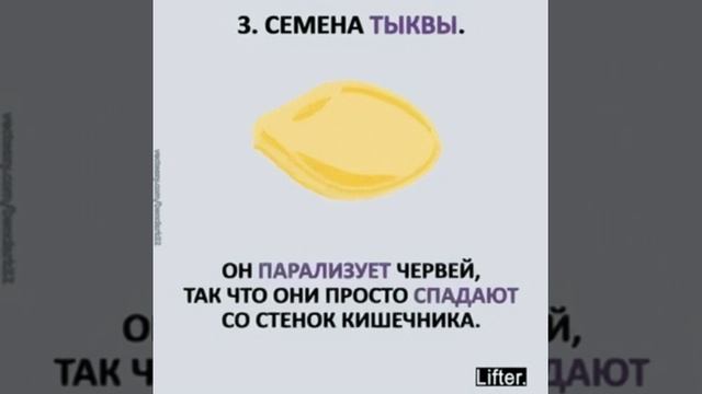 8 РАСТЕНИЙ ПРОТИВ ПАРАЗИТОВ