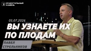 Павел Стрельников / Вы узнаете их по плодам / Краеугольный камень г.Иркутск