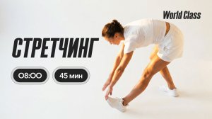 СТРЕТЧИНГ с Эльвирой Сахибгареевой | 7 июля 2026 | Онлайн-тренировки World Class