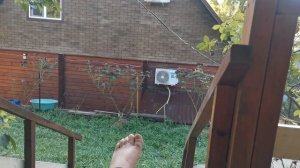 СОЧИ ГОРНОЕ ЛОО УТРО 06.07.2026