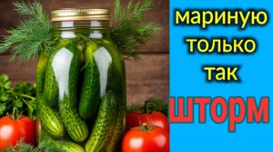 Мариную огурцы только так! Шторм. Чего разорались? Блины из кабачков.