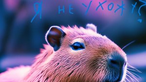 я вернусь??????