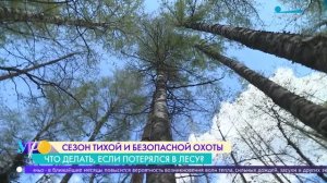 Что делать, если потерялся в лесу?