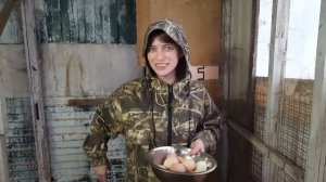 собираем яйца в феврале