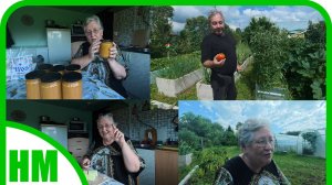 6 июля. Я великий ноль без палочки.  Первые красные помидорки. Кабачков не хватает.