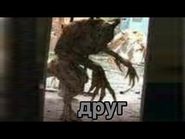 a Guide to "Out of your friends which are you?" and друг смотреть онлайн