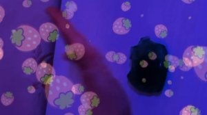 2026_07_05_00_20_44_IMG_4948