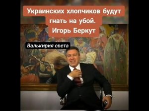 Украинских хлопчиков будут гнать на убой.Игорь Беркут.