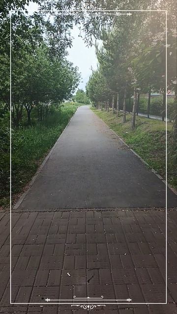 Ходьба. Читай описание