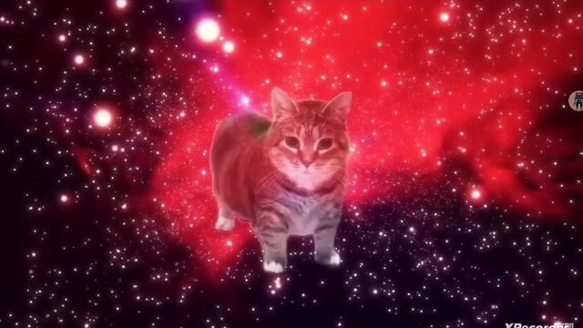 Мем у и а
