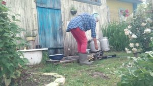 После грозы. /Сломало ветром яблоню/