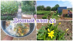 Сумасшедшая жара / Не возможно работать / Сходили в гости