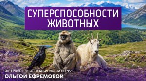 Суперспособности животных. Интервью с учителем биологии ЦО 21 Ольгой Ефремовой