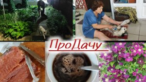 Встреча ночью, утро на даче!