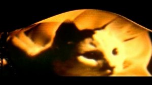 Masterboy - Show me colours