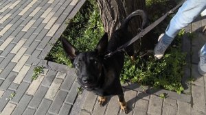 Любашины будни,приехали в поликлинику ‼️
