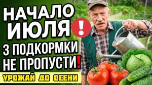 3 ведра в начале ИЮЛЯ - и урожай не остановиться до СЕНТЯБРЯ
