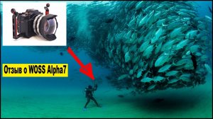 Подводный бокс WOSS Alpha7. Надежная защита фотоаппарата. Ныряем с Sony под воду. Реальный Отзыв.