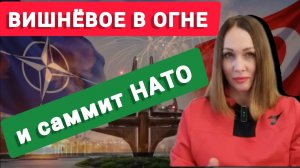 Саммит НАТО и атаки на Киев