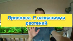 Прополка. С названиями растений