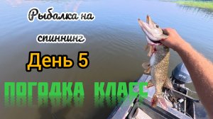 Рыбалка на спиннинг. 2026. День 5 Погодка шепчет, щука ловится!