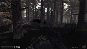 S.T.A.L.K.E.R Anomaly. Чёрный полтергейст