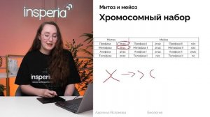 ЗАДАНИЕ 3 ЕГЭ БИОЛОГИЯ 2026: жизненный цикл клетки КОРОТКО И ЯСНО
