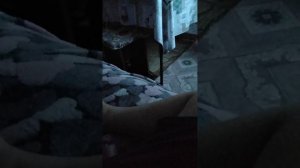 Школьная история (ОДНОКЛАССНИКОВ ПОСТАВИЛИ НА УЧËТ!), (некоторых на два учëта.....) (ТРЕШ нимножка))