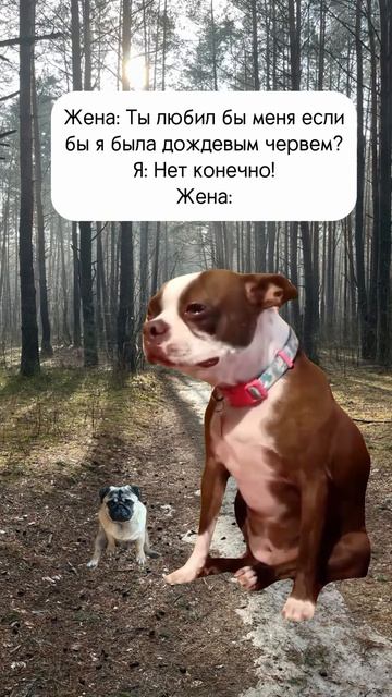 Ты бы любил меня, если бы....