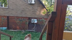 СОЧИ ГОРНОЕ ЛОО УТРО 07.07.2026