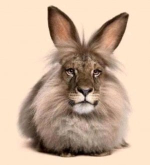 черемша без кофша со второго этажа не шиша не пержа четыре карандаша