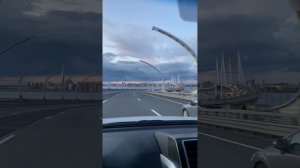 ©У любви свои законы