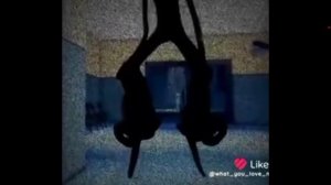подборка по больнице для животных аномалии