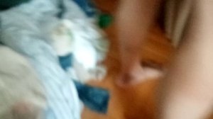 VID_20260707_124850.mp4