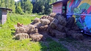 НЕТ НИКАКОГО СМЫСЛА В НАШЕЙ ЖИЗНИ