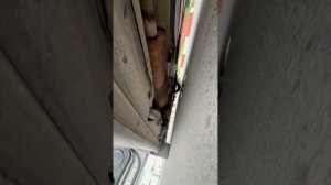 Мерседес В класс
