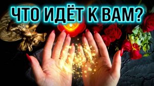 ТАРО ГАДАНИЕ☝️ЧТО ИДЁТ ПРЯМО К ВАМ  В РУКИ ❓💯💥