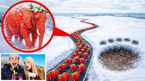 Дрон снял STRAWBERRY ELEPHANT в Реальной Жизни! Развлечения.